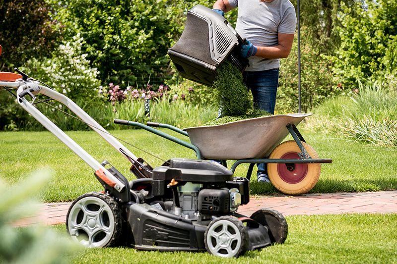 Tömmer gräs från bensindriven gräsklippare